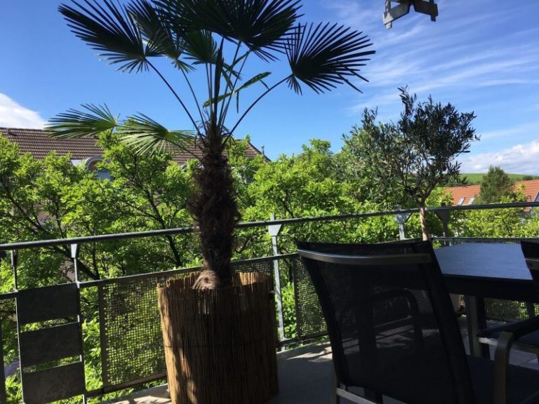 Ferienwohnung Balkon 2