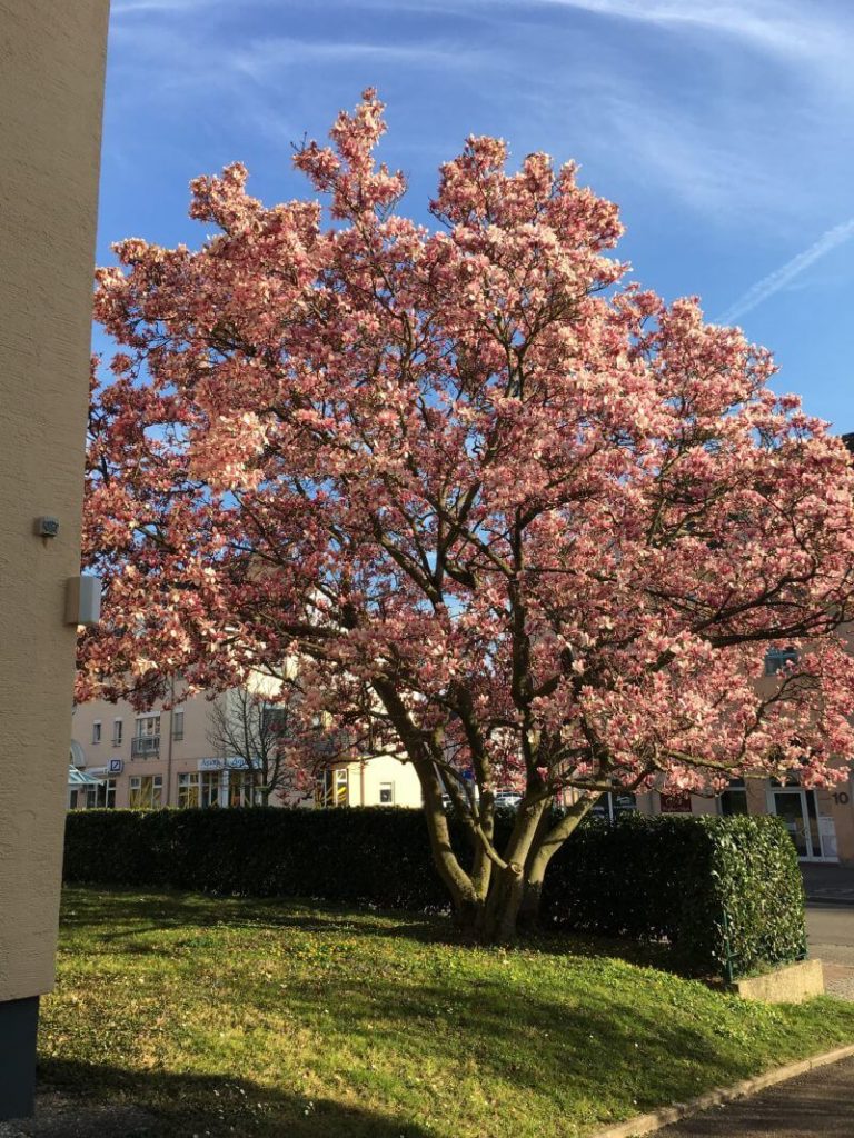 Ferienwohnung Balkon 3