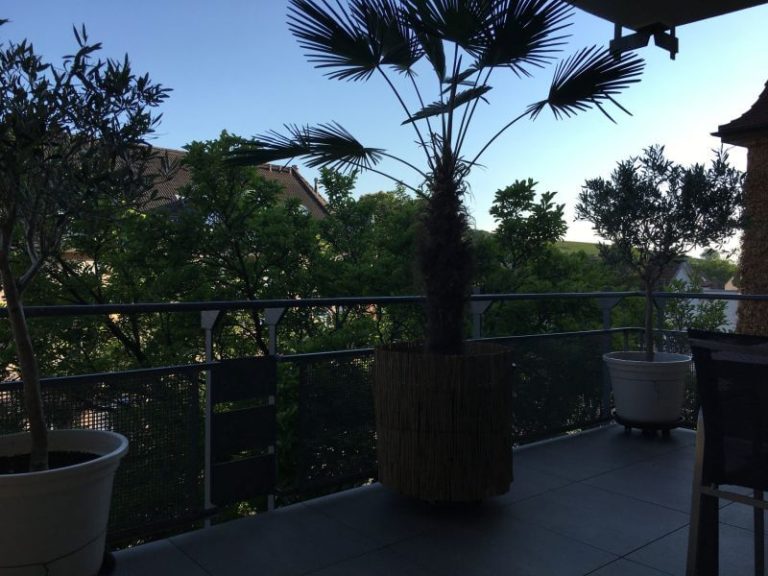 Ferienwohnung Balkon 4